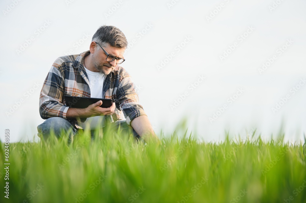 Experienced and confident farmer on his field. Portrait of senior farmer agronomist in wheat field. Experienced and confident farmer on his field. Portrait of senior farmer agronomist in wheat field.