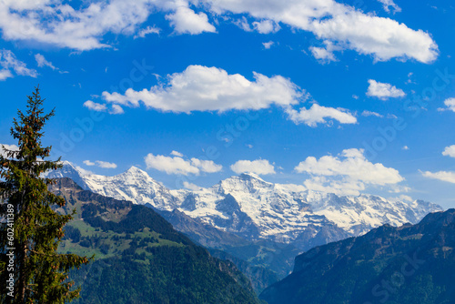 View of Bernese Alps from Harder Kulm viewpoint, Switzerland © olyasolodenko