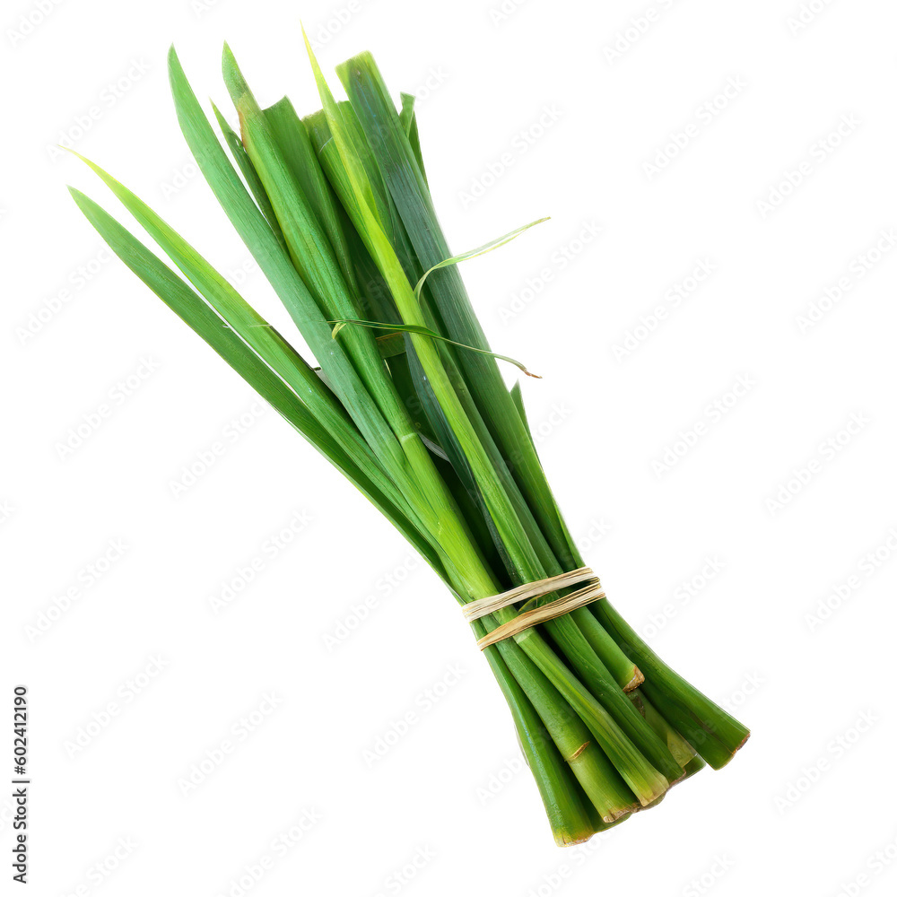 Obraz premium Cymbopogon isolated on white background