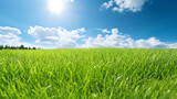 Illustration close up of a lush green grass lawn field against a blue summer’s sky. A.I. generated.