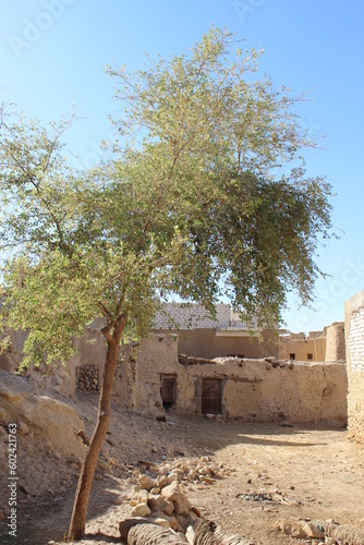 Old Shali fortress streets and houses and cityscape in Siwa oasis in Matrouh in Egypt photo