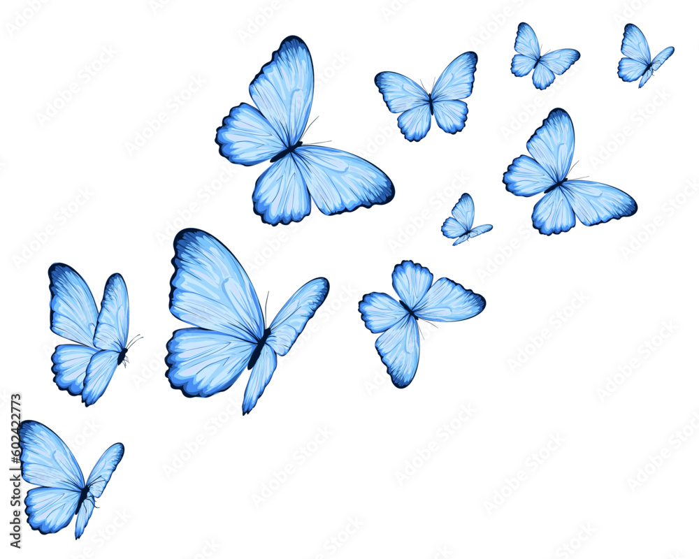 set of butterflies isolated on white - obrazy, fototapety, plakaty 