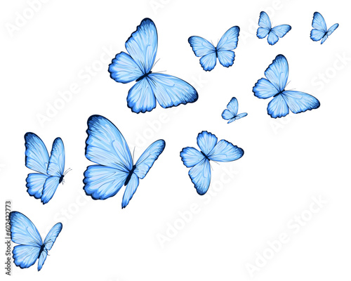 Fototapete set of butterflies isolated on white