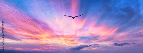 Bird Sunset Flight Inspirational Flying Motivational Divine Sky Hope Flight Sunrise Banner Header