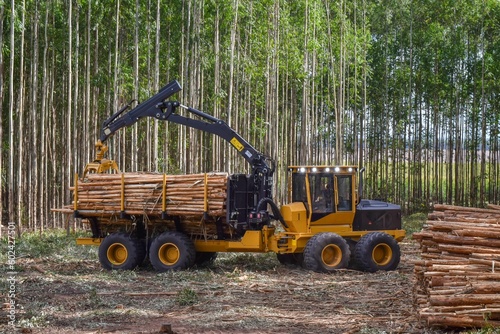 Logging Equipment Forestry Machine Timber Harvesting