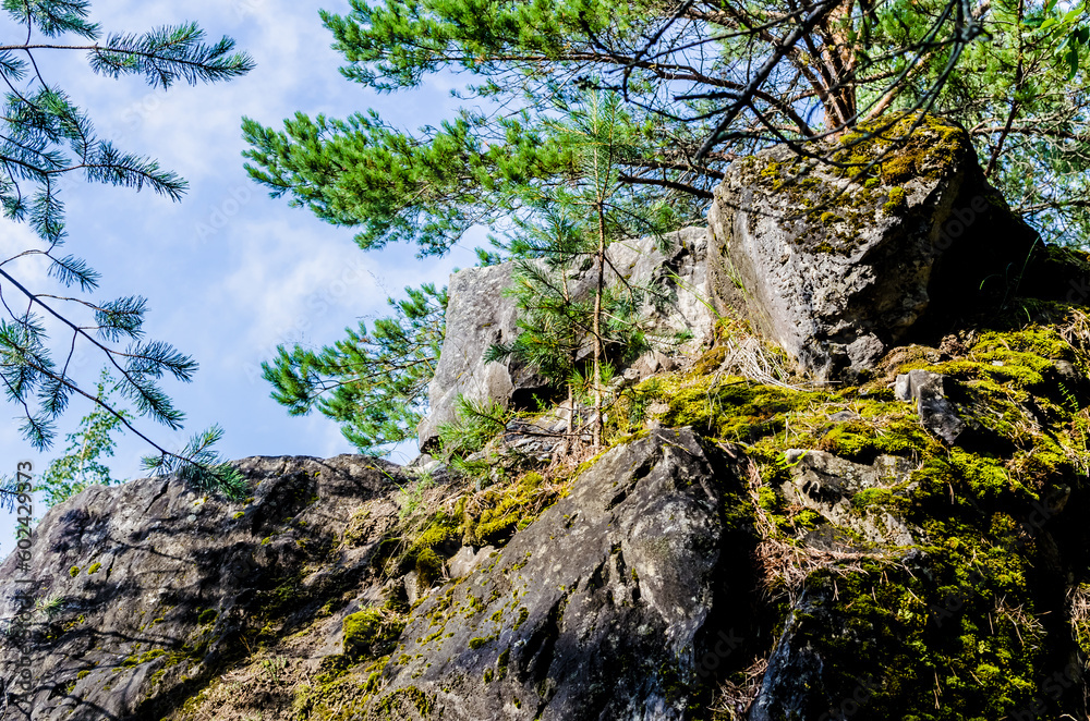 Karelia rocks marble canyon summer