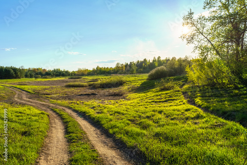 A winding road passes through a field of grass. The rays of the setting sun break through the branches of the tree. Landscape with green vegetation during sunset