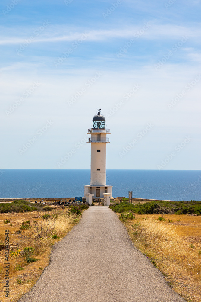 Formentera: Cape Barbaria lighthouse. Vertical photo with road leading to the lighthouse of Barbaria, on the island of Formentera (Balearic Islands, Spain).