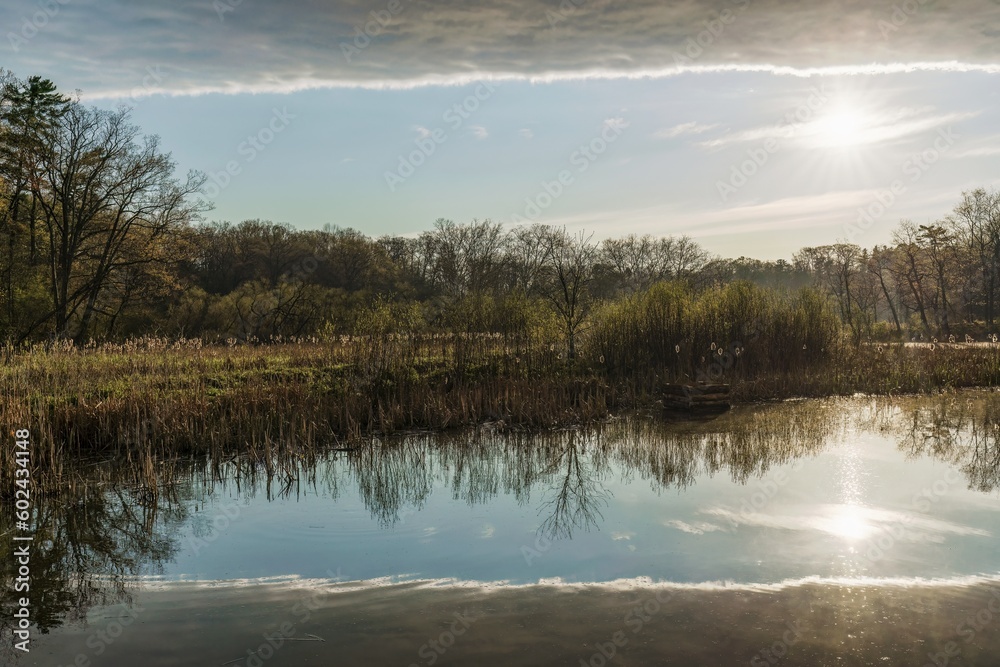 Sunrise during hike along Grindstone Marshes Trail at Hendrie Valley Sanctuary, Burlington, Ontario, Canada Sunrise during hike along Grindstone Marshes Trail at Hendrie Valley Sanctuary, Burlington, Ontario, Canada