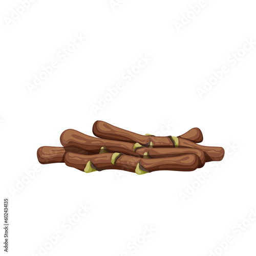 Teeth cleaning neem twig vector illustration. Cartoon isolated plants heap and Indian oral hygiene tools in pile, chew neem sticks in traditional medicine of India to clean and brush, protect teeth