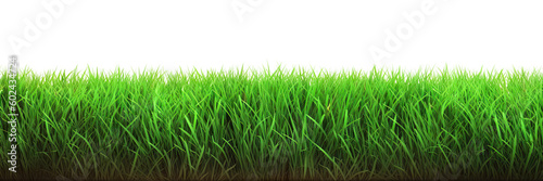 A grass isolated on transparent background - Generative AI