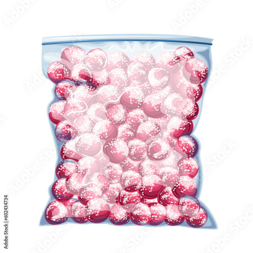 Frozen cherry in plastic bag vector illustration. Cartoon isolated transparent zip package with ice and berry fruits, frost food ingredient from supermarket freezer for cooking fruit desserts