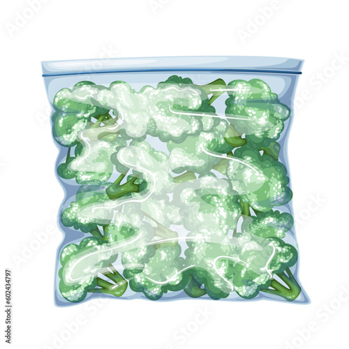 Frozen broccoli in plastic bag vector illustration. Cartoon isolated cellophane packaging for freezer storage in supermarket with pieces of summer green vegetables, frozen food ingredient for cooking