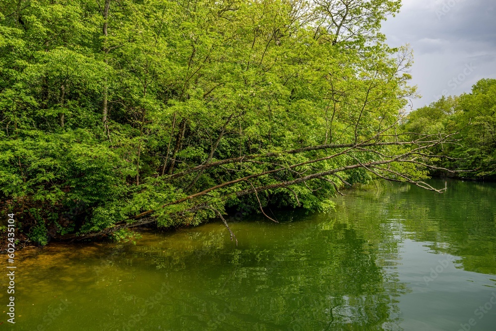 lake nantahala