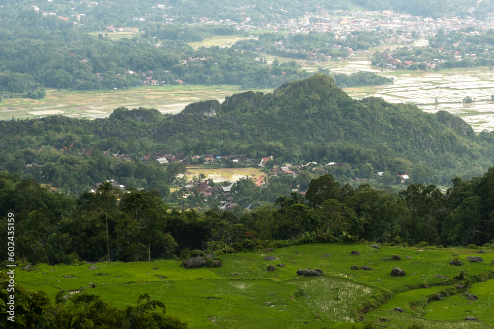 Ruralscape of North Toraja Regency