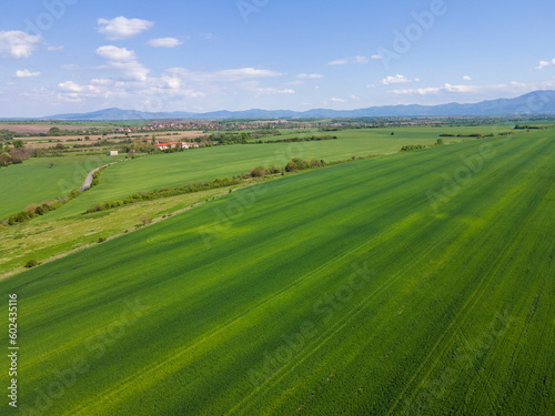 Upper Thracian Plain near town of Asenovgrad, Bulgaria