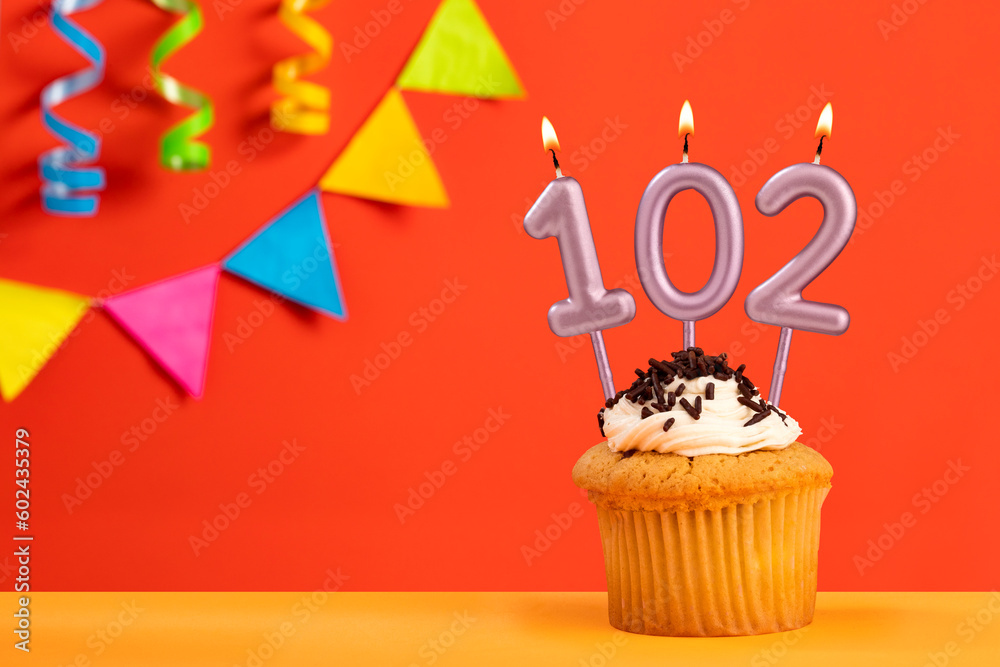 Number 102 Candle - Birthday cake on orange background with bunting