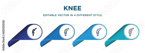 knee icon in 4 different styles such as filled, color, glyph, colorful, lineal color. set of   vector for web, mobile, ui