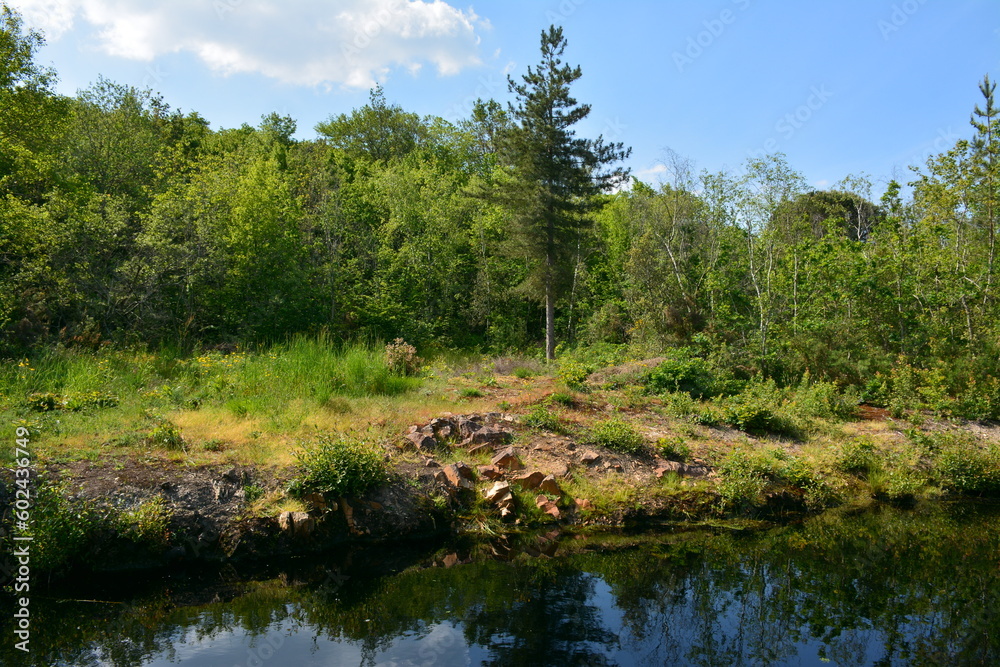 La Roche Ballue - Site naturel de loisirs - Zone expérimentale La Roche Ballue - Site naturel de loisirs - Zone expérimentale
