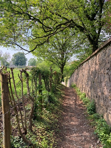 Promenade dans les chemins autour du village de Limbourg - Province de Liège - Wallonie - Belgique - Europe photo