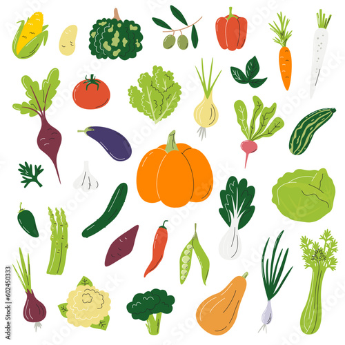 Big collection with different vegetables. Ripe veggies set. Colorful realistic shapes of various organic agricultural products. Harvest season hand drawn flat vector illustration isolated on white