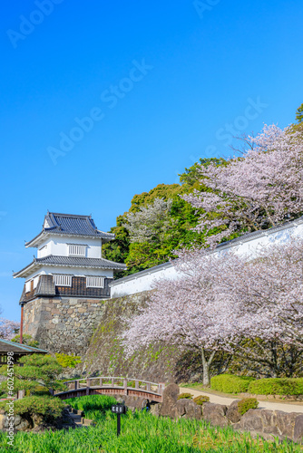 Fototapeta Naklejka Na Ścianę i Meble -  春の大村公園　長崎県大村市　Omura Park in spring. Nagasaki Pref, Oomura city.
