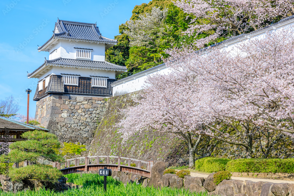 春の大村公園 長崎県大村市 Omura Park in spring. Nagasaki Pref, Oomura city.
春の大村公園 長崎県大村市 Omura Park in spring. Nagasaki Pref, Oomura city.