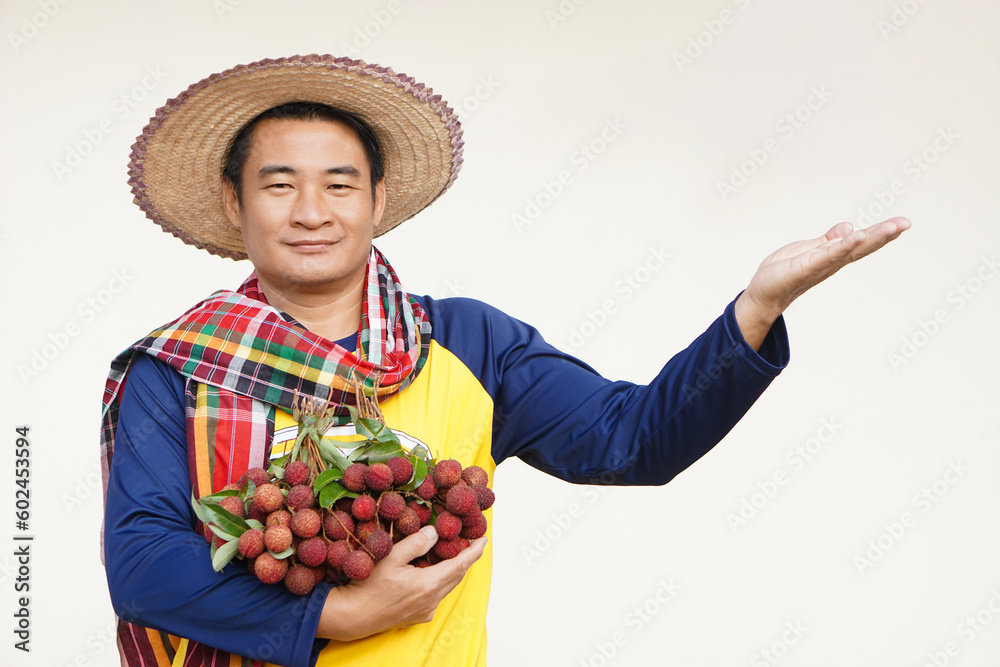 Handsome Asian man farmer wears hat, yellow shirt, holds litchi fruits. Concept, agriculture occupation.  Thai farmers grow organic litchis as an export product of Thailand.         
