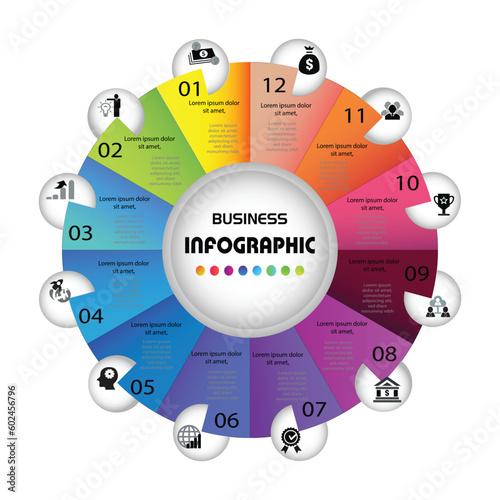 Vector circle infographic template for 12 options