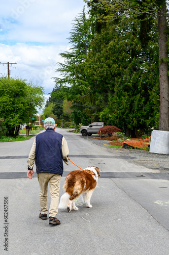 Senior man walking a Saint Bernard dog on a residential street with signs of ongoing construction 