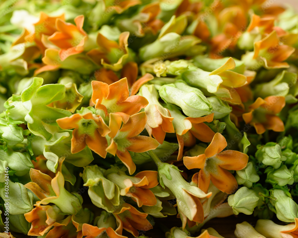 Obraz premium Thai edible flowers (cowslip creeper, Tonkin jasmine or Pakalana vine), Orange flower background