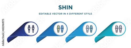 shin icon in 4 different styles such as filled, color, glyph, colorful, lineal color. set of vector for web, mobile, ui