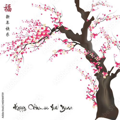 cherry blossom for Chinese new year and lunar new year.