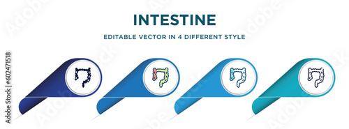 intestine icon in 4 different styles such as filled, color, glyph, colorful, lineal color. set of vector for web, mobile, ui