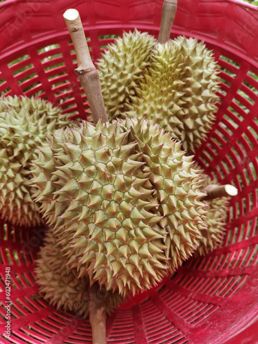 Close up of durians in the red basket 