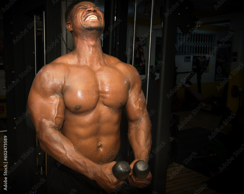 muscular bodybuilder training in the gym. muscular bodybuilder training in the gym.
