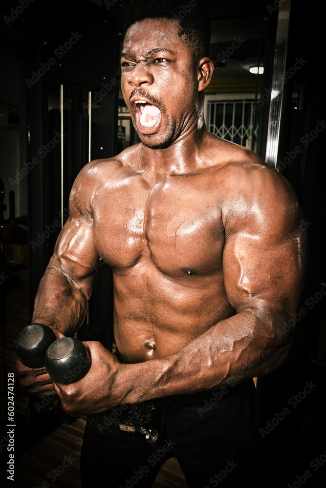 A muscular African bodybuilder training intensively in the gym. 