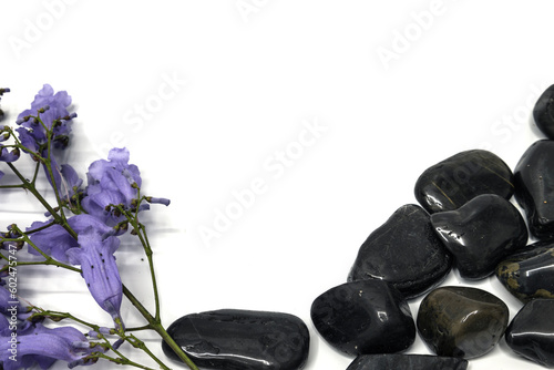 Spa composition  on white background. Stack of spa stones