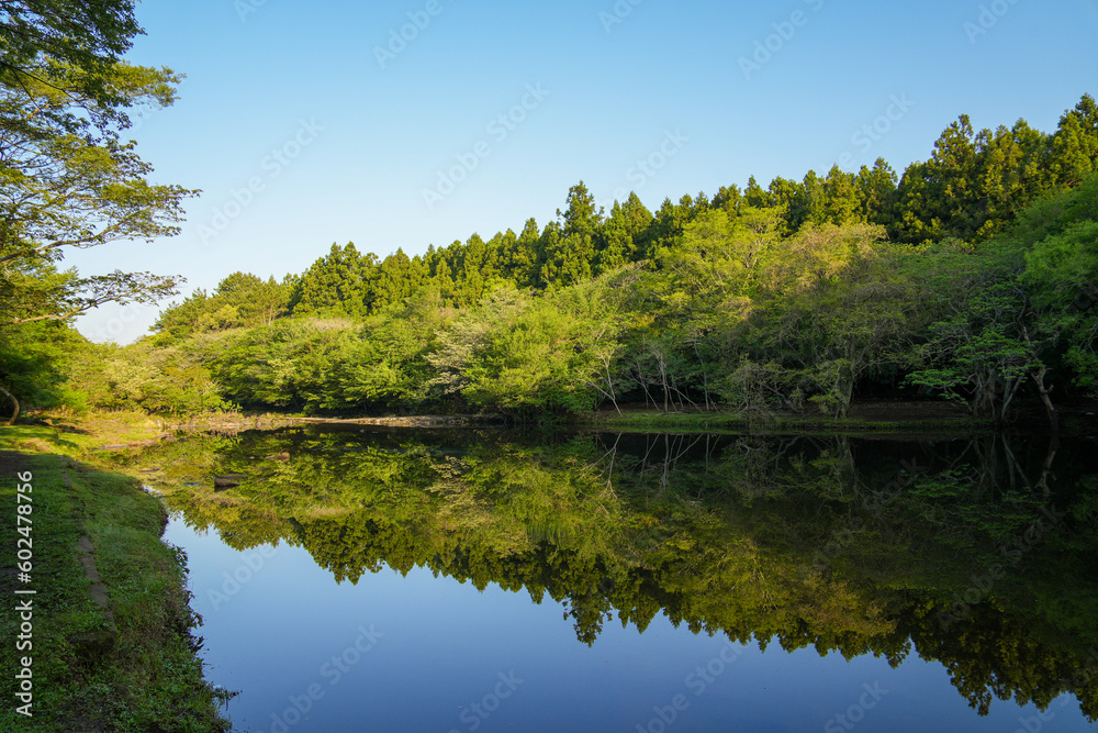 Lakeside surrounded by a secluded and beautiful forest