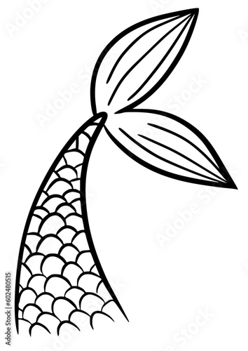 Mermaid tail cute vector icon. Line sea fish hand drawn silhouette isolated on white background. Black contour marine tale girl elements. 