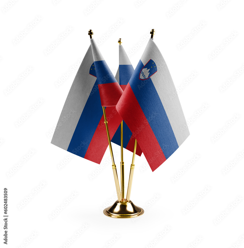 Small national flags of the Slovenia on a white background