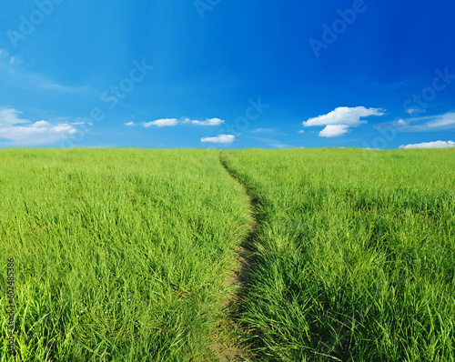 Lonely footpath through field