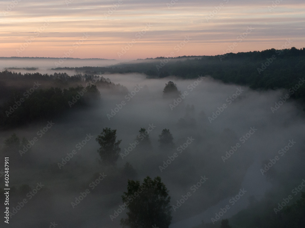Serene Sunrise: A lush green landscape with misty trees in the summer morning in Northern Europe Serene Sunrise: A lush green landscape with misty trees in the summer morning in Northern Europe