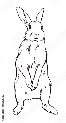 black and white silhouette image of a bunny standing on its hind legs, for decorating Easter items, printing on dishes, embossing