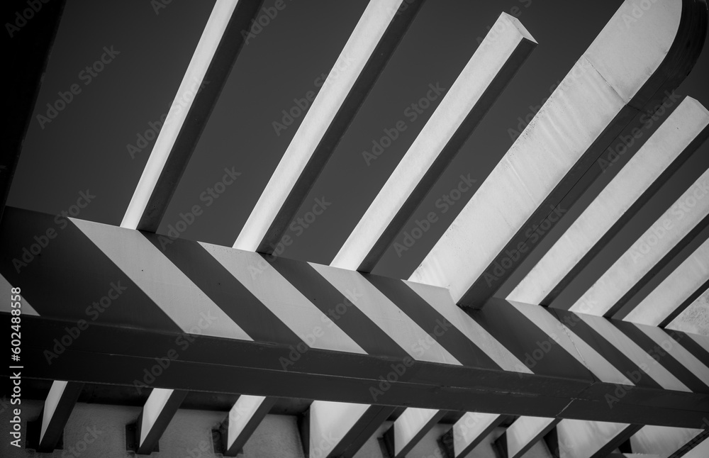 Fototapeta premium Beams and Rafters Under Clear Sky.