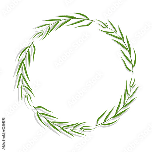 Willow tree frame with green leaves. Circle greeting card decorating, invitation cards. Colored vector isolated on white background