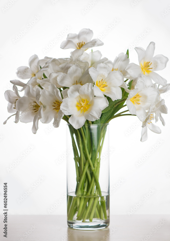 bouquet of fresh white tulips in glass vase on a table in the interior of a modern apartment
