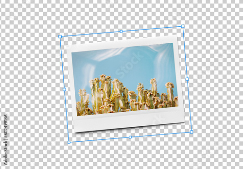 Mockup of customizable instant camera photo print available against customizable color background