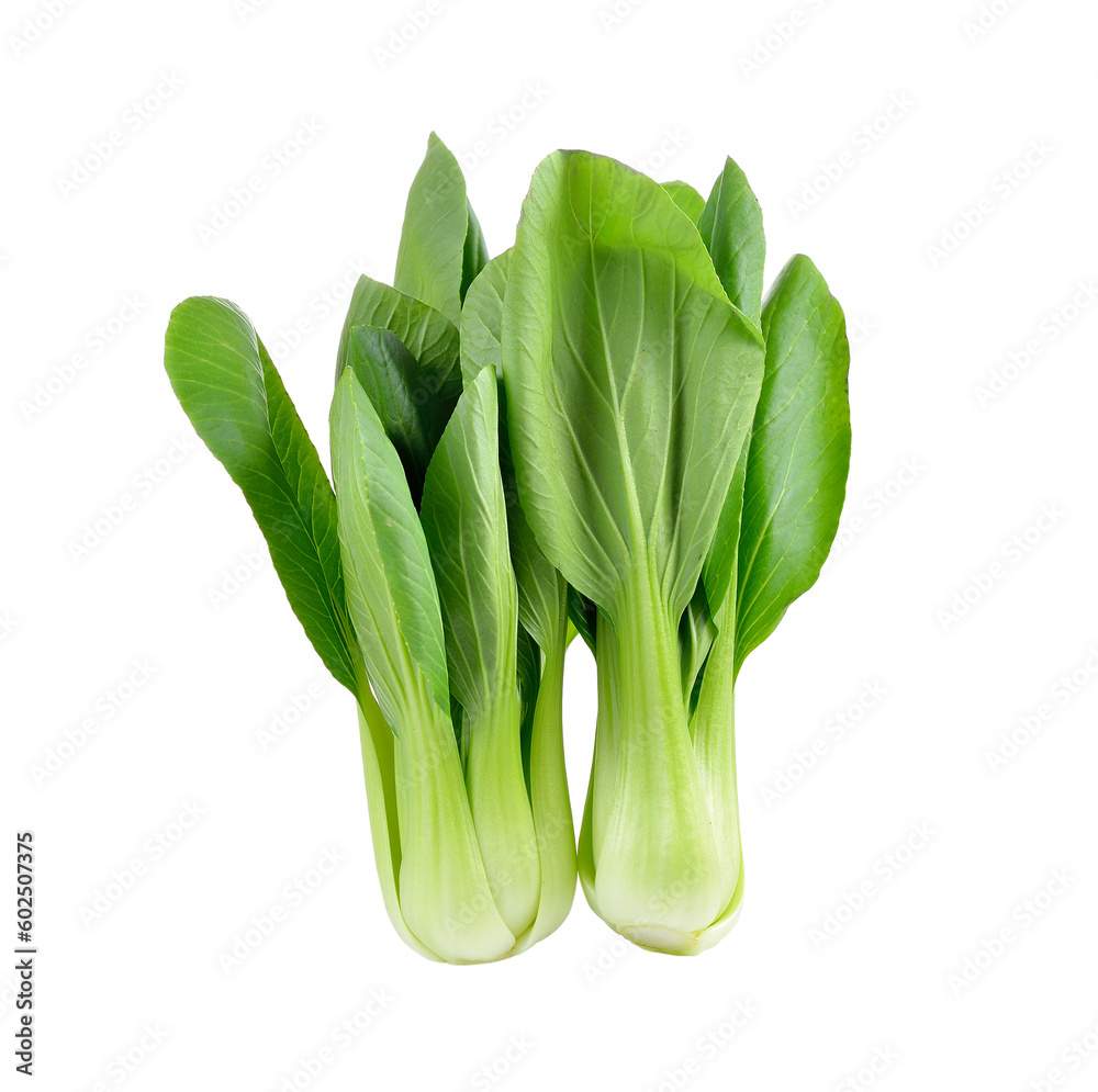 Bok choy vegetable on transparent png Bok choy vegetable on transparent png