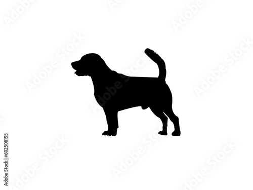 set of dogs silhouettes.Vector silhouette of dog on white background .Vector illustration of dog on a white and black .Ari  geois  Azawakh  Black and white vector.  Dot vector icons.